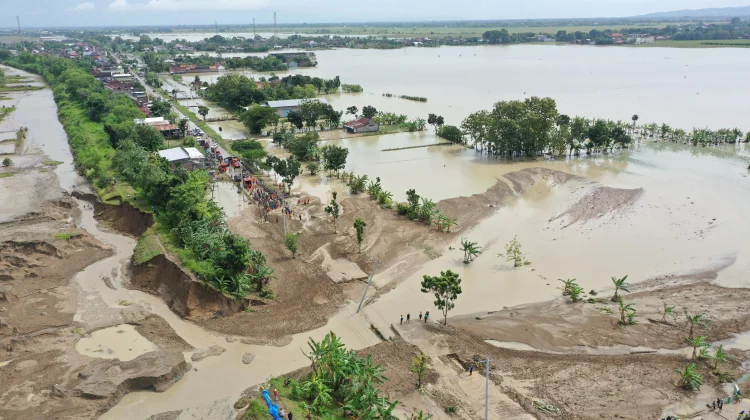 Banjir Grobogan Rendam Ribuan Hektare Sawah, Pemerintah Kawal Asuransi