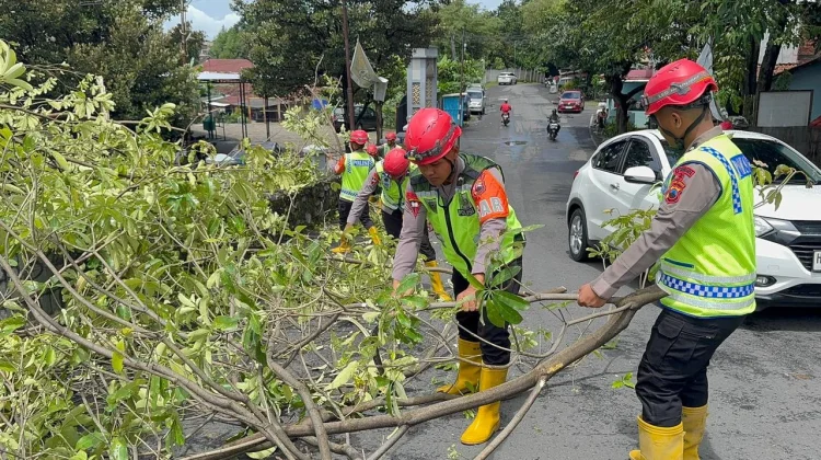 Brimob Simongan Evakuasi Pohon Tumbang di Jalan WR Supratman Semarang