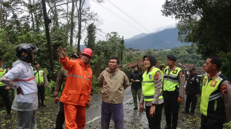 Pohon Tumbang Tutup Jalan Kalirejo-Kalongan di Ungaran