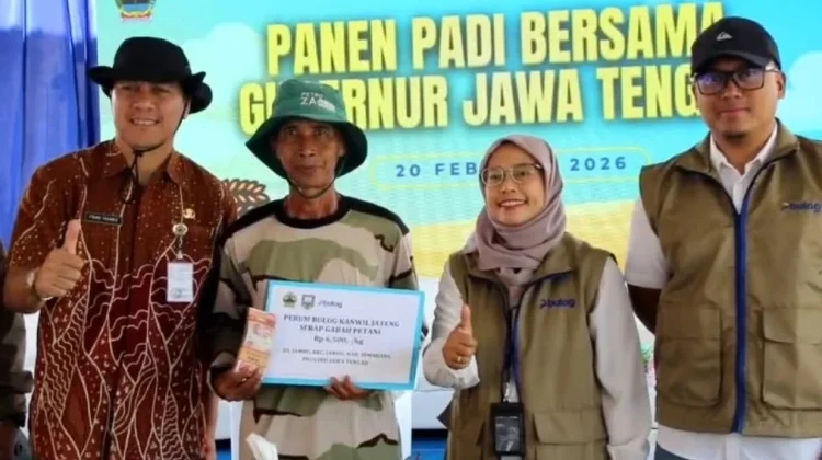 Bulog Jateng, Serapan Padi Januari-Februari Capai 100 persen