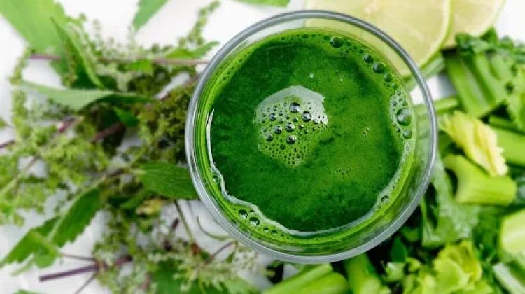 Resep Membuat Smoothie Sayuran yang Sehat dan Menyegarkan