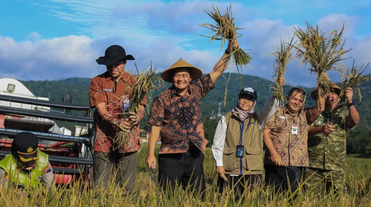Jateng Panen Raya 3,35 Juta Ton, Naik 14 Persen