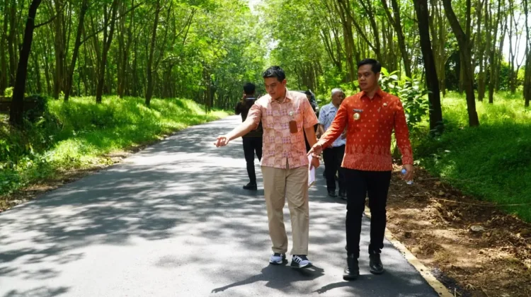 Anggaran Jepara Naik, 421 Kilometer Kerusakan Jalan Tertangani