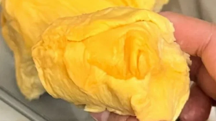Cara Nikmati Durian dengan Maksimal: Nikmat, Aman, Berkesan
