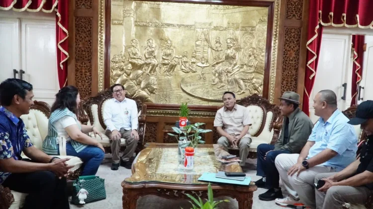 Atasi Kelangkaan, Bibit Ayam Broiler di Pati Kembali Dipasok