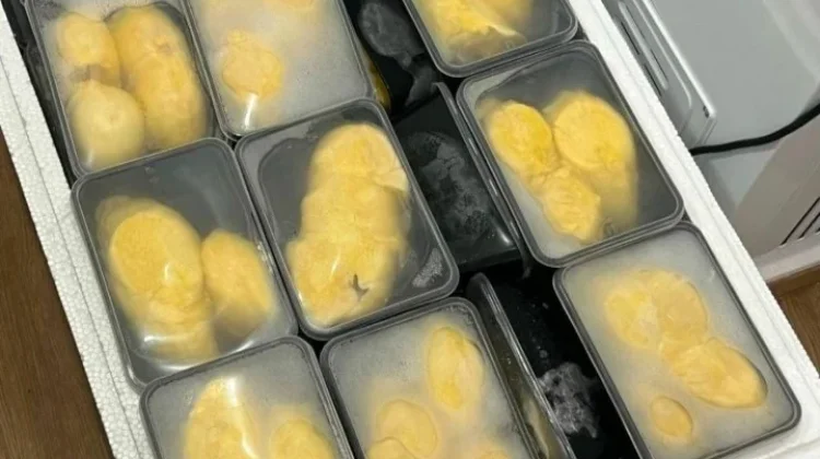 Peluang Usaha Durian Kupas dalam Wadah Tepak