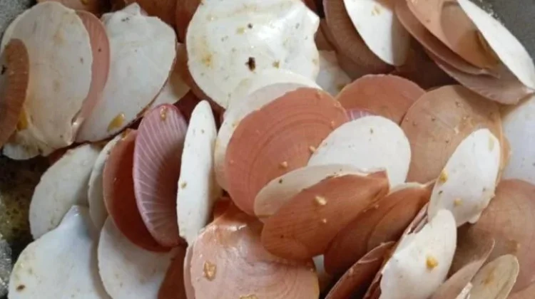 Resep Kerang Srimping Saus Mentega yang Menggoda