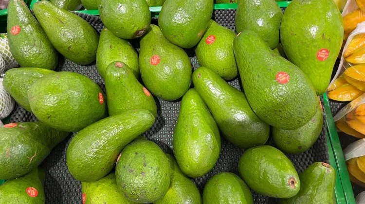 Manfaat Alpukat Bagi Kesehatan