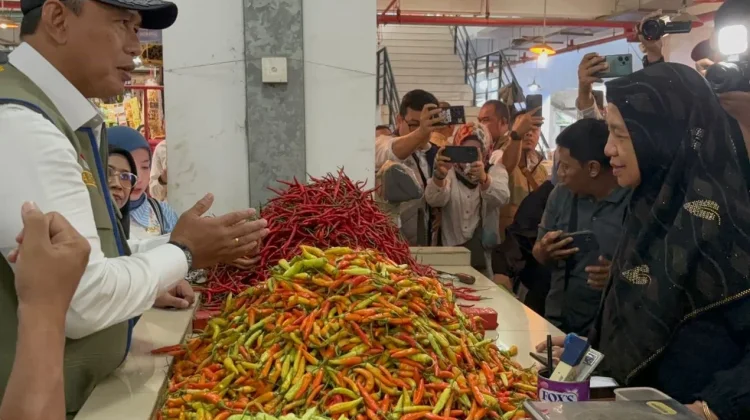 Halo RRI, Fluktuasi Harga Cabai Dikeluhkan Pedagang