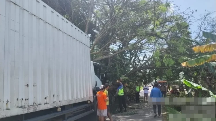 Polsek Bojong Evakuasi Pohon Tumbang akibat Laka Tunggal di Sembungjambu