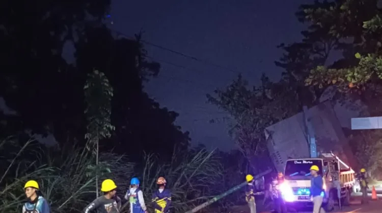 PLN Gerak Cepat Pulihkan Listrik Padam Akibat Hujan dan Angin Kencang