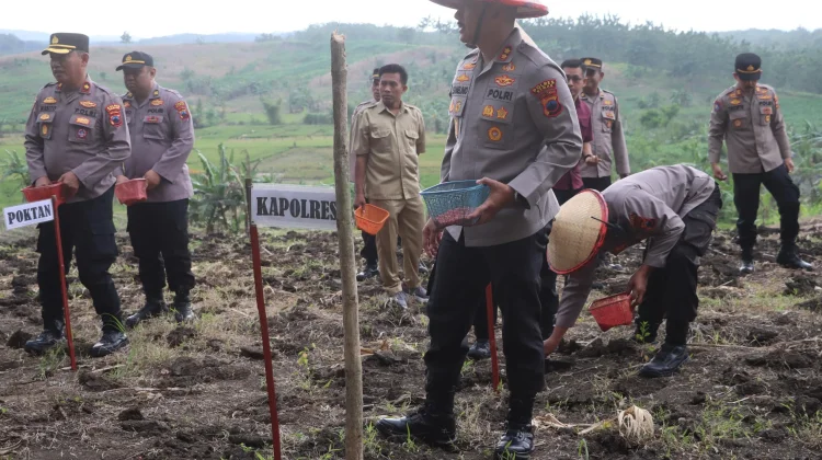 Polres Demak Tanam Jagung Serentak di Karangawen