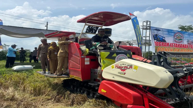 BUMDesma Anugerah Pratama Bayan Purworejo Sukses Panen Padi di Lahan Tidur
