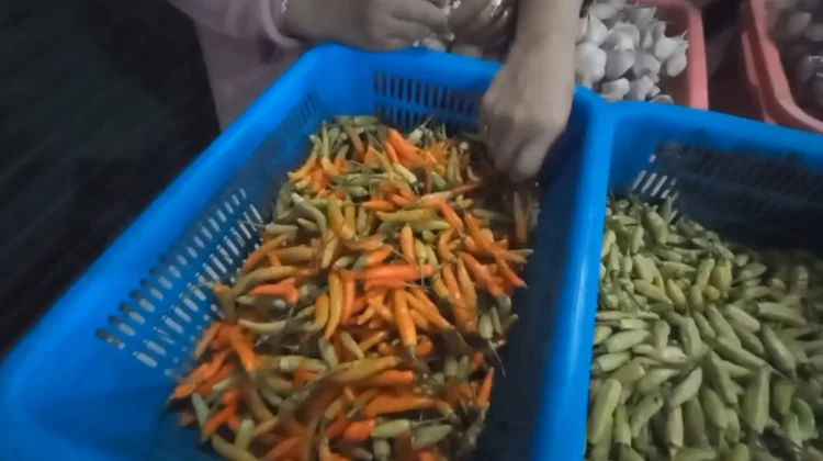 Cabai Mahal Jelang Lebaran, Pemkab Batang Siapkan Skema Subsidi
