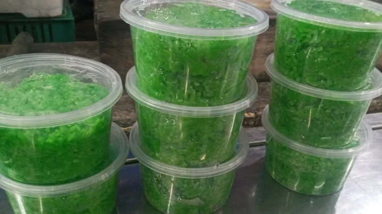 Peluang Usaha Tape Ketan dalam Kemasan Thinwall Cup