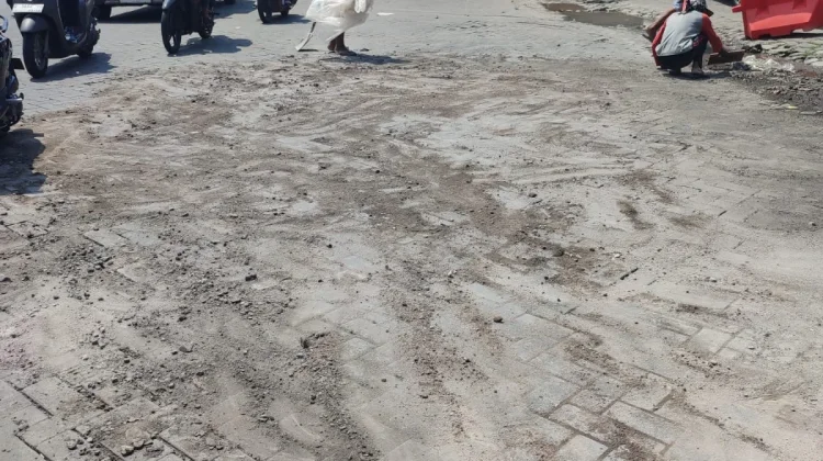 Agustina Siapkan Betonisasi Masif dan Perbaikan Rutin di Jalan Citarum