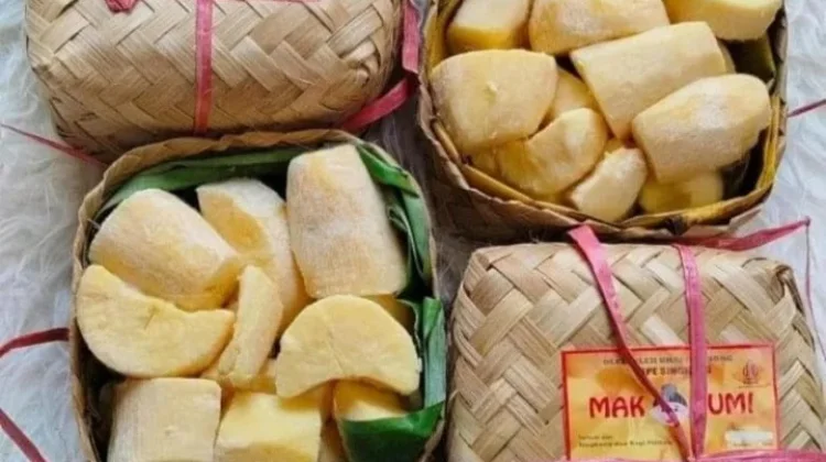 Peluang Usaha Tape Singkong dalam Besek