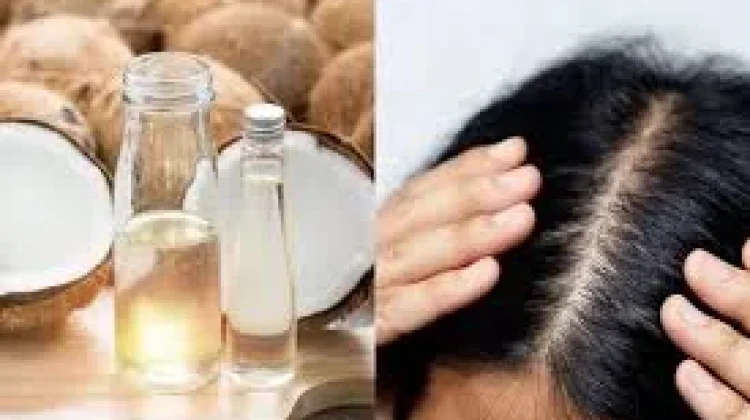 Khasiat Minyak Jarak sebagai Penumbuh dan Penyubur Rambut