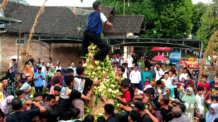 Meriahkan Lebaran, Warga Dusun Dawung Magelang Gelar Gerebeg Ketupat Isi Uang