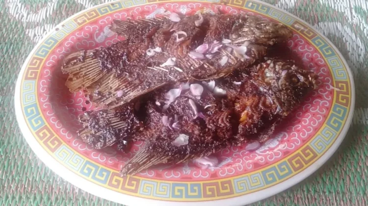 Ragam Ikan yang Nikmat Dimasak Bakar