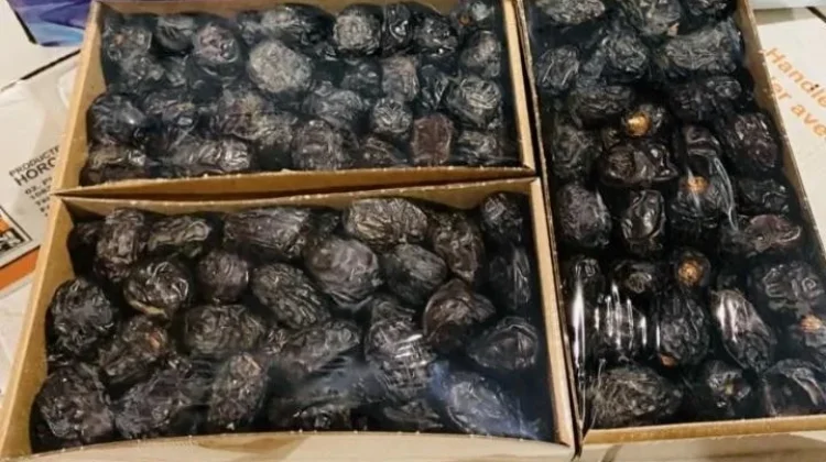 Cara Menyimpan Kurma agar Tahan Lama