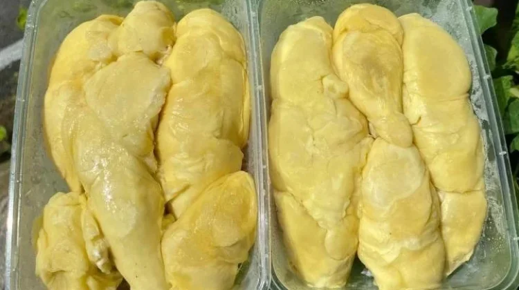 Mengenal Durian Trenggalek, Raja Buah dari Jawa Timur