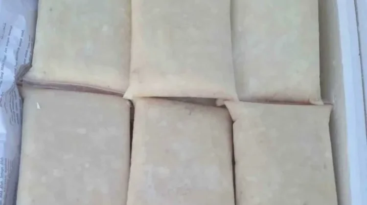 Peluang Usaha Sirsak Frozen yang Menjanjikan