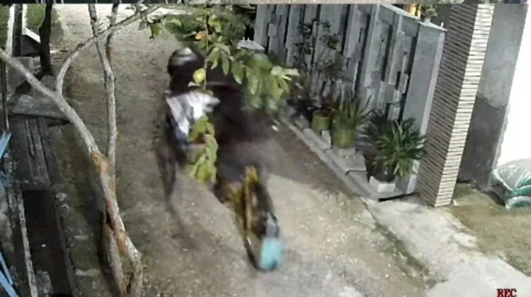 Aksi Pencuri Pisang di Rembang Terekam CCTV, Pelaku Diburu