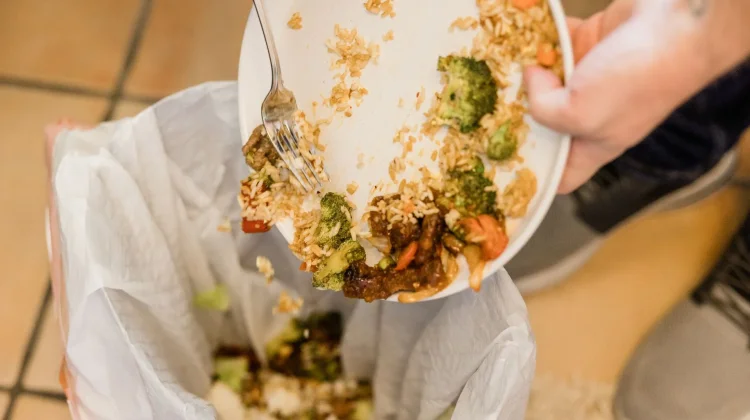 Sampah Makanan Bisa Sebabkan Masalah Lingkungan Serius