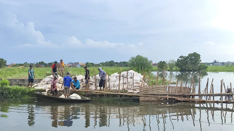 Lima Hari Terendam Banjir, Warga Pasirsari Desak Perbaikan Tanggul Sungai Bremi