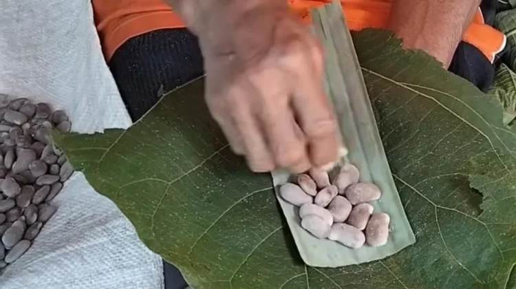 Tempe Benguk Khas Wonogiri, Bantul dan Kulon Progo