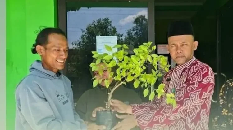 Program Janur Melengkung, Catin di Rembang Wajib Tanam Pohon sebelum Akad Nikah