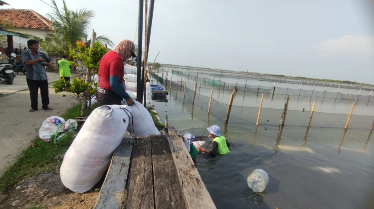 DKP Kendal Mulai Kembangkan Budidaya Rumput Laut