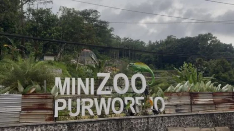 LSM Tamperak Minta Usut Tuntas Dugaan Korupsi Proyek Mini Zoo Purworejo