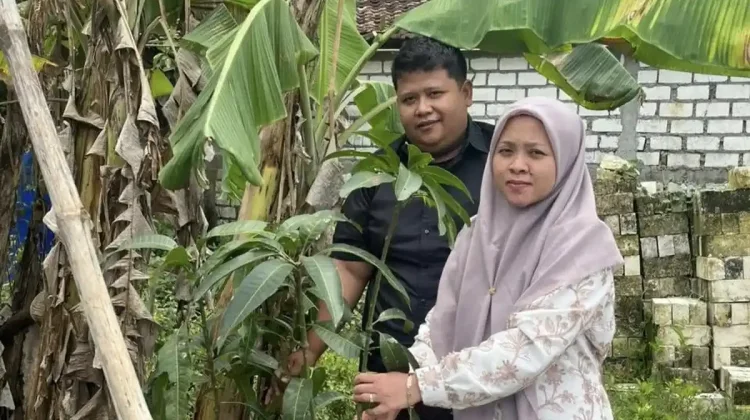 Mahar Unik, Pengantin di Rembang Gunakan Bibit Mangga