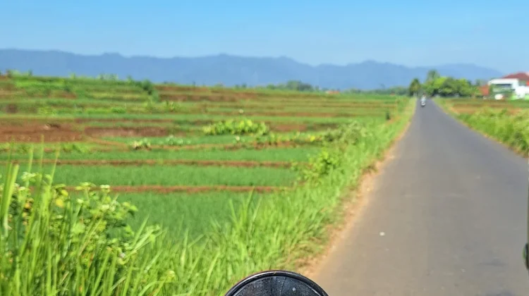 Lima Kota di Indonesia yang Cocok untuk Slow Living