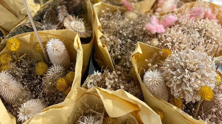 Takut Bunga Layu? Dried Flowers Jawabannya