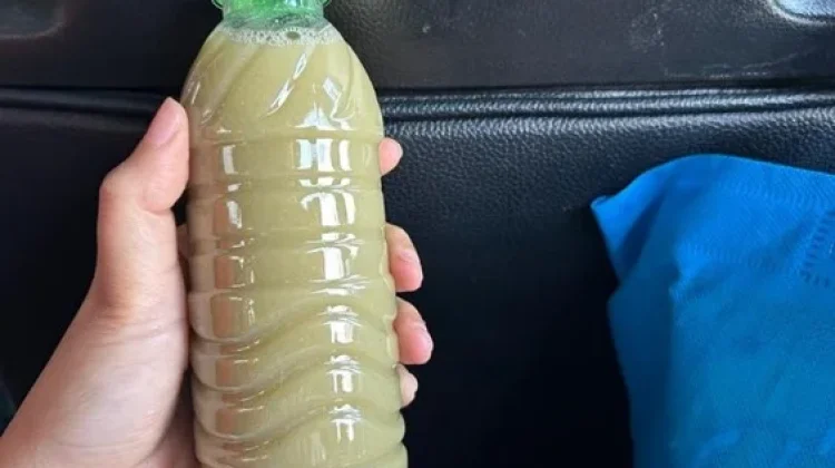 Sari Kacang Hijau, Minuman tradisional yang Menyehatkan