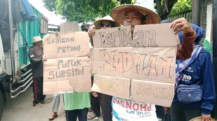 Harga Tinggi dan Langka, Petani Pati Desak Pemerataan Distribusi Pupuk Bersubsidi