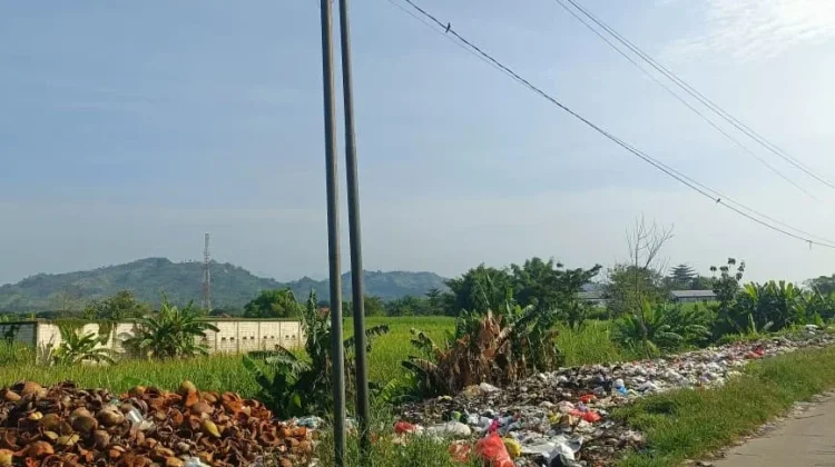 Warga Desa Gondoharum Kudus Resah Keberadaan Gunungan Sampah