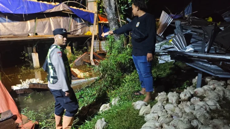 Angin Kencang Robohkan Kandang Milik Warga Sukolilo Pati