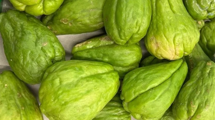 Labu Siam, Sayur Sehat yang Mudah Diolah