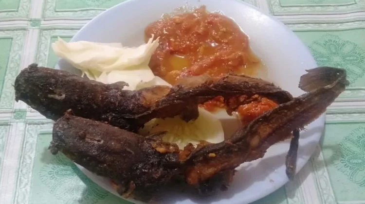 Cara Menghilangkan Bau Tanah pada Lele sebelum Digoreng