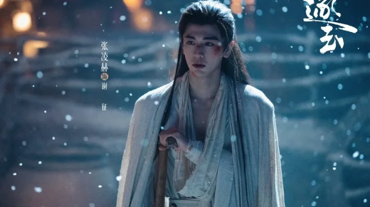 Zhang Ling He Raih Lebih dari 20 kontrak Endorse, setelah Pursuit of Jade