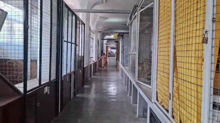 DPRD Kota Semarang Soroti Lapak Kosong di Johar, Pemkot Siap Ambil Tindakan
