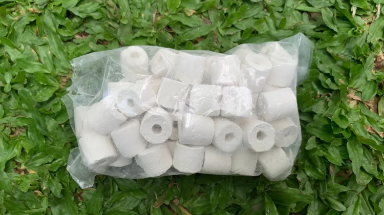 Bioring, Batu Apung, dan Media Filter Wajib Diketahui