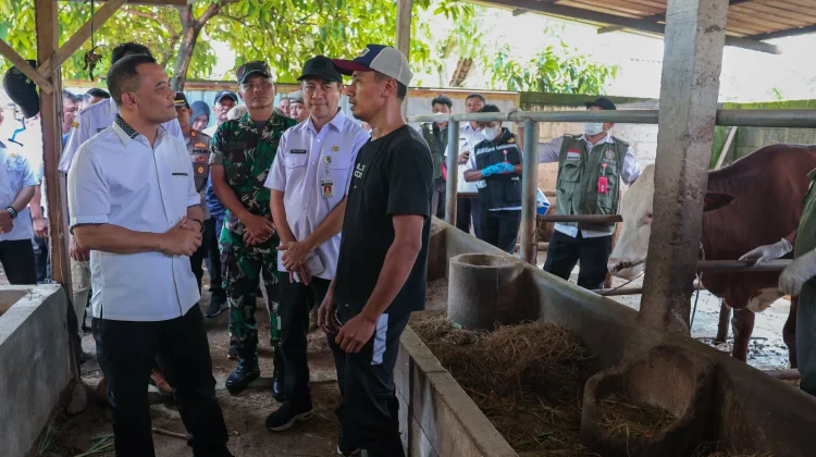 Cegah Penyakit Ternak, Layanan Kesehatan Hewan Digeber Jelang Iduladha