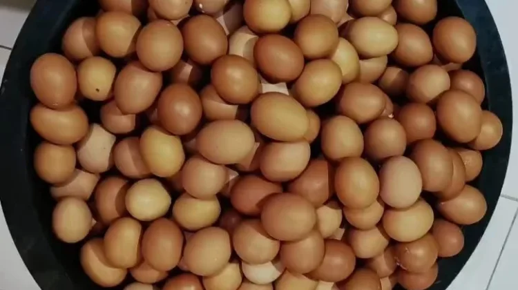 Cara Menyimpan Telur Ayam agar Tahan Lama