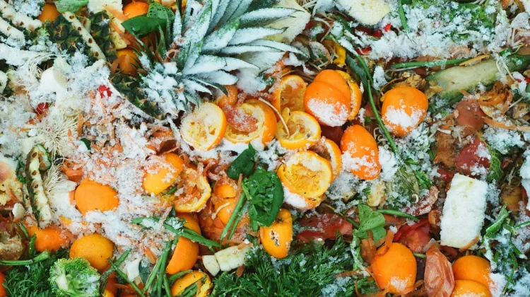 Hotel di Semarang Tekan Limbah Makanan lewat Program Zero Food Waste