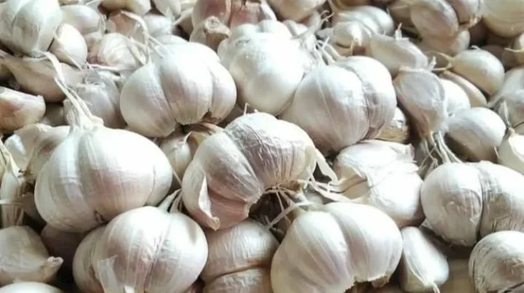 Trik Cepat Mengupas Bawang Putih tanpa Ribet